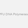 PFU DNA Polymerase
